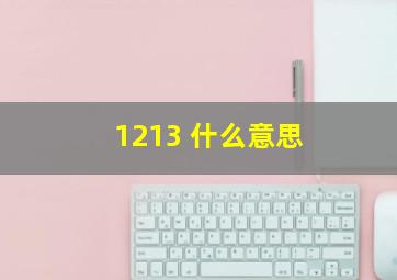 1213 什么意思